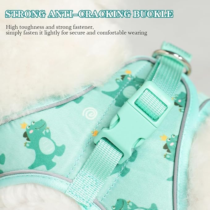 Step in Dog Harness and Leash Set, Flower Adjustable Easy Walk Puppy Harnesses, Soft Mesh No Pull Pet Vest Harness for Small Dogs and Cats(Beige, XXS)