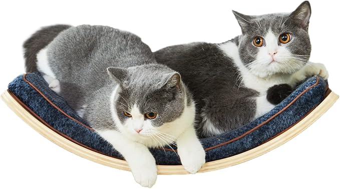 LIORCE Cat Shelf with Comfortable Cushion - Curved Modern Cat Bed (Large Size) - Lotus Leaf Design Cats Wall Perch - Wall Mounted Cats Furniture for Sleeping, Playing, Climbing, and Lounging