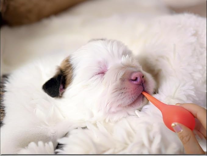 Yiqianhome 11pcs Puppy Kitten Feeding Tube Kit for Small Animals and Clear Feeding Syringe 5/10/20/30/60ml, Clear Feeding Tube, Syringe Bulb for Puppy Kitten Nestling Feeding Tools