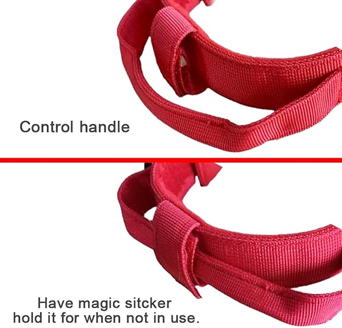 Tactical Dog Collar for Large Dogs with Control Handle,Red,L | 1000D Heavy-Duty Nylon Fabric,Quick-Release Metal Buckle,Adjustable Fit,Soft-Padded Webbing,D-Ring,for Training & Hiking