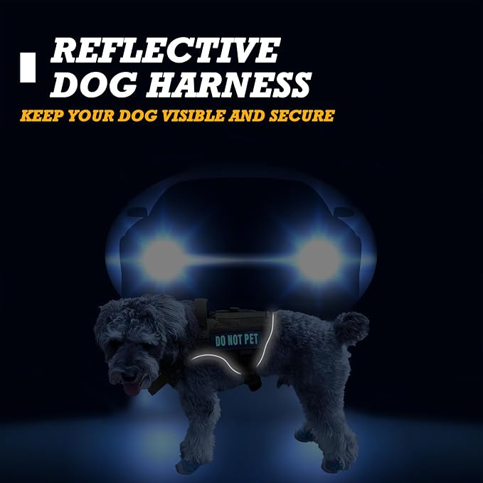 Tactical Dog Harness for Small and Medium Breeds, Air Dog Vest No Pull with Reflective Do Not Pet Patches, Breathable Dog Molle Vests for Training Walking Hunting Green