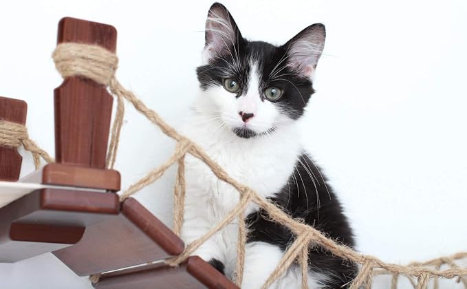 CatastrophiCreations The Cat Mod - Wall-mounted Cat Bridge with Fabric Lounger for Cats