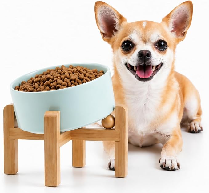 Petygooing Raised/Elevated 15°Slanted Ceramic Dog Bowl for Small Breeds,Tilted Anti Slip Pet Bowl,Food Water Dish with Stand for Cats and Small Dogs Puppy 13.5 OZ (5.1In / 1.7 Cups) Blue Sky