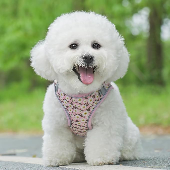 Step in Dog Harness and Leash Set, Flower Adjustable Easy Walk Puppy Harnesses, Soft Mesh No Pull Pet Vest Harness for Small Dogs and Cats(Daisy, XS)