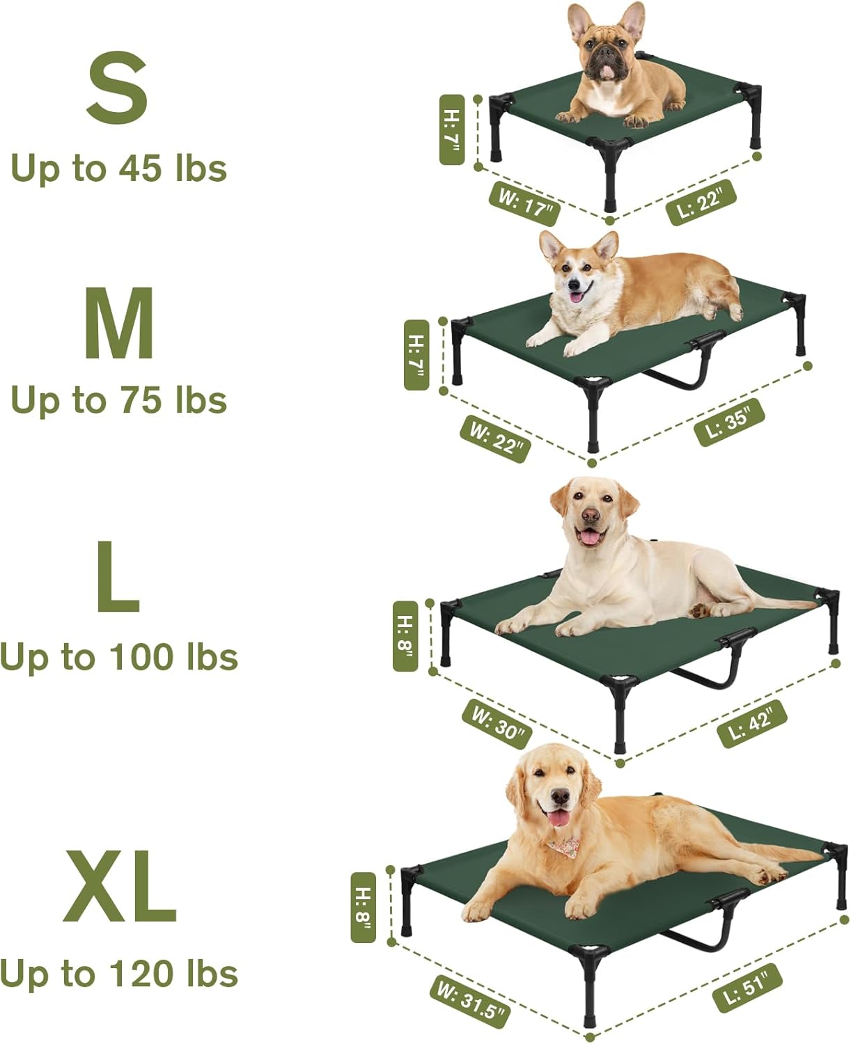Small Elevated Dog Bed 22 Inch - Puppy Cooling Cot with Removable Washable Breathable Mesh, Raised Dog Cots Beds for Indoor and Outdoor, Green