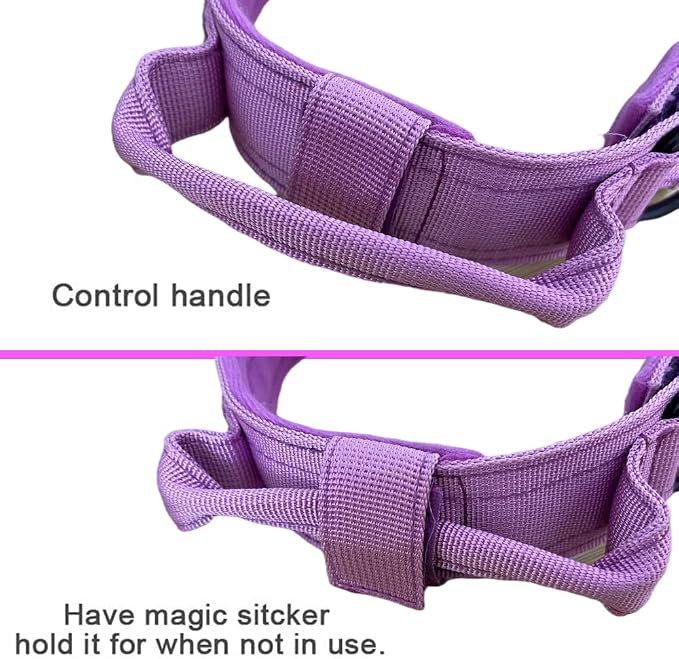 Tactical Dog Collar for Large Dogs with Control Handle,Purple,XXL | 1000D Heavy-Duty Nylon Fabric,Quick-Release Metal Buckle,Adjustable Fit,Soft-Padded Webbing,D-Ring,for Training & Hiking