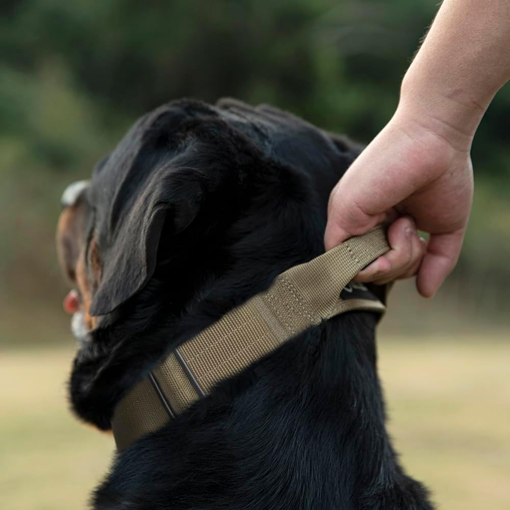 TSPRO Premium Dog Collars Tactical Dog Collar with Handle and Heavy Duty Quick-Release Metal Buckle Durable Thick and Adjustable for Medium to Large Dogs (Orange L)