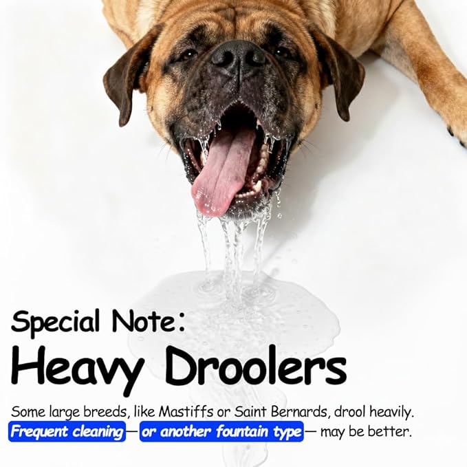 3 Gallon Large Dog Water Fountain, Stainless Steel Pet Water Fountain for Large Dogs, Automatic Big Dog Water Bowl Dispenser Drinking with 2 Filters, Easy to Clean, Quiet Pump