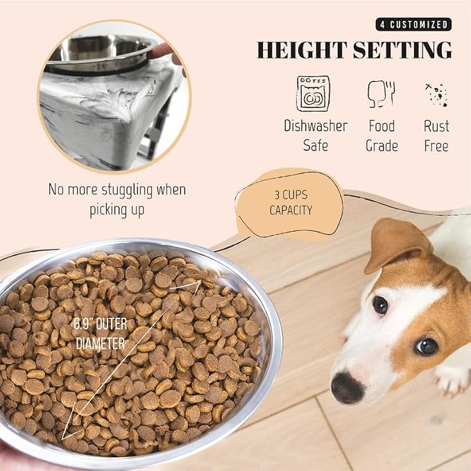 AVERYDAY Elevated Dog Bowls, 4 Height Adjustable Stand for Small and Medium Dogs, Raised Dog Feeder Holder with 2 Stainless Steel Food and Water Bowls, Anti-Slip Base Tall Feeding Station