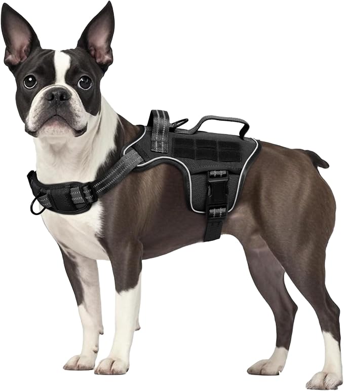 Dog Harness, Tactical No Pull for Small Sized Dog with Handle | Breathable Soft Padded, Adjustable, Reflective, Molle System, Heavy Duty, No Choke for Walking Training, Black Small