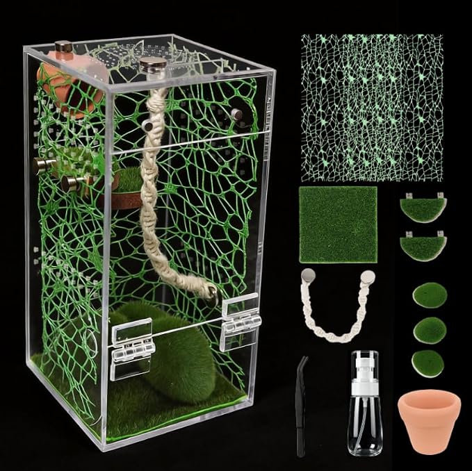 Jumping Spider Terrarium 4" x 4" x 8" DIY Habitat Kit | Rest Platforms, Climbing Rope, Hideout, Moss Decor, Feeding Tongs & Mister for Jumping Spiders