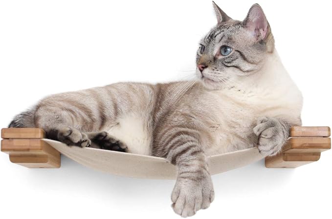 CatastrophiCreations Cat Lounge Hammock Wall Mounted Lounger for Climb and Play Furniture Cat Tree Shelves
