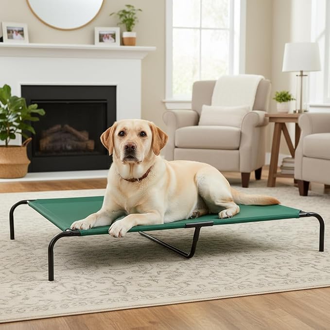 Amazon Basics Cooling Breathable Elevated Dog Bed with Durable Metal Frame for Large Dogs, X-Large, 60 x 37 x 9 Inch, Green, Easy to Clean