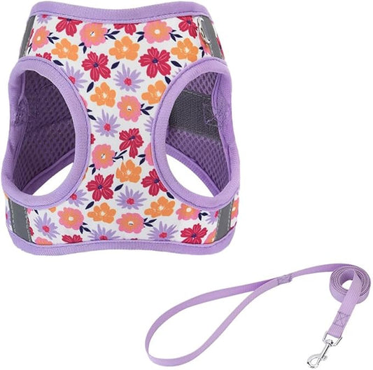 Step in Dog Harness and Leash Set, Flower Adjustable Easy Walk Puppy Harnesses, Soft Mesh No Pull Pet Vest Harness for Small Medium Dogs(Flower, S)