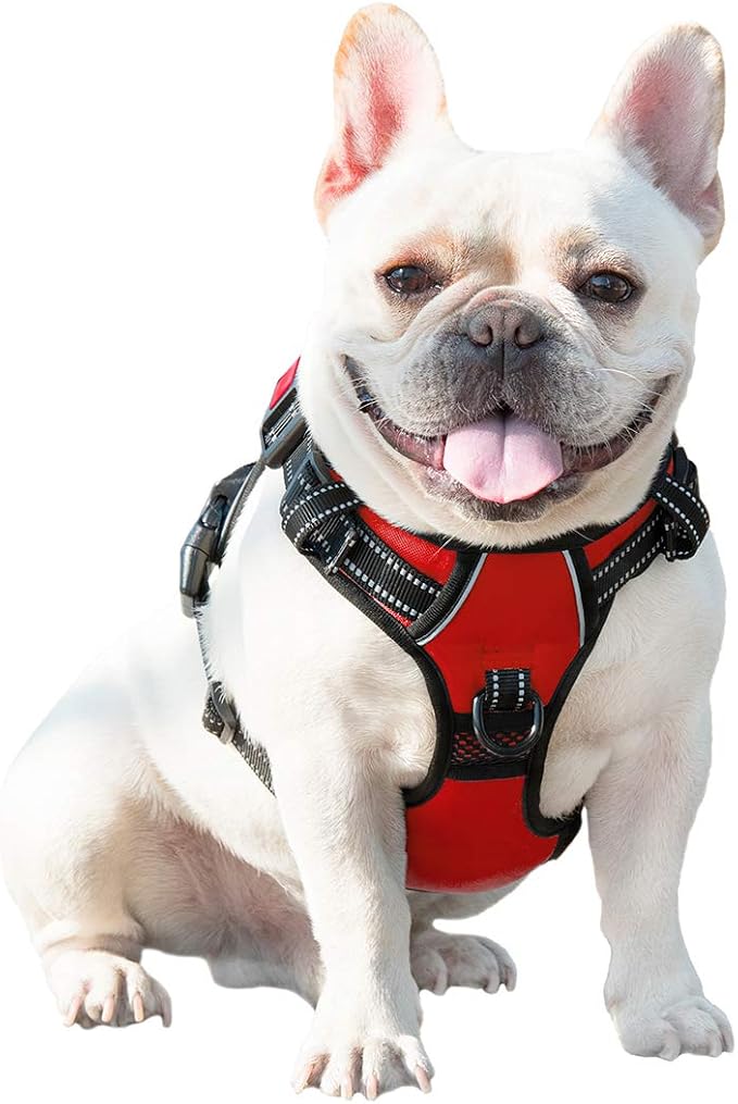 No Pull Dog Harnesses for Small Dogs Reflective Adjustable | Front Clip Vest with Handle 2 Metal Rings 3 Buckles [Easy to Put on & Take Off](XS, Red)