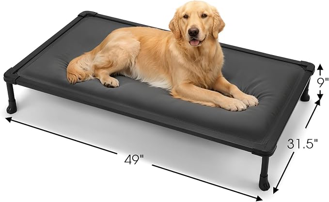 Veehoo Chew Proof Elevated Dog Bed, Padded Indestructible Raised Dog Cot | Orthopedic Dog Platform Bed with Soft Padded Mat, Durable Waterproof Pet Cot for Indoor, Outdoor or Crate, 49-Inch, Grey