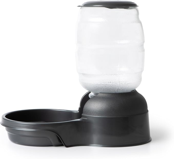 Petmate Replendish Automatic Dog Feeder Gravity Pet Treat Dispenser with Microban Protection Base, Wide Mouth Bowl, 100% BPA Free - 2 lb
