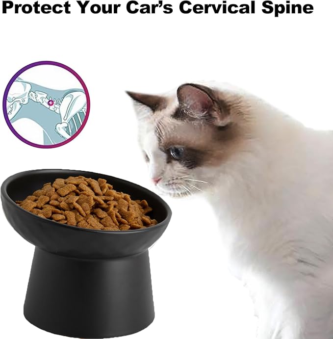 Elevated Cat Bowls, 15° Tilted Ceramic Raised Cat Food and Water Bowl Set, Whisker-Friendly Porcelain Pet Feeder Dishes for Indoor Cats and Small Dogs,Black,6.2 Inch,2 Pack