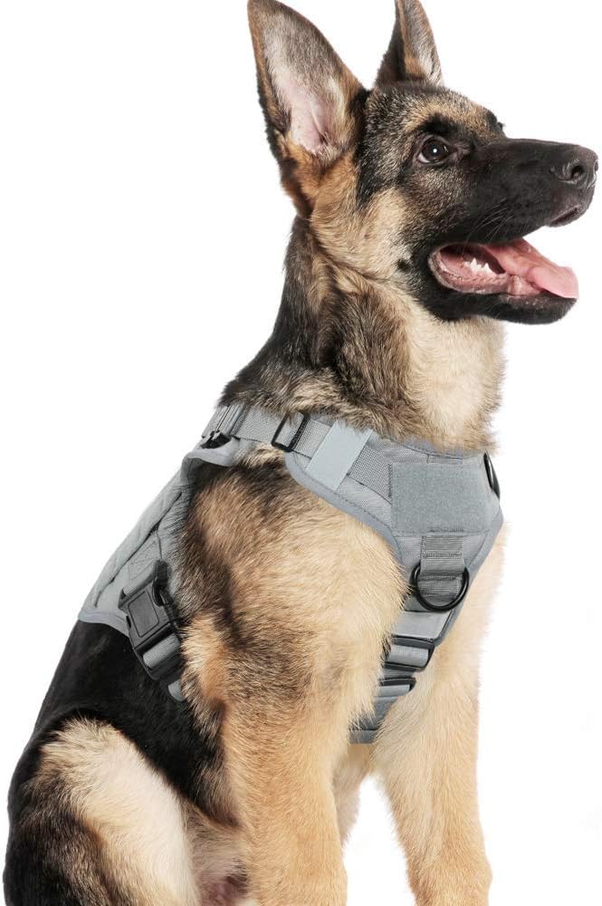 rabbitgoo Tactical Dog Harness for Large, Heavy Duty Military No Pull Vest | Sturdy Metal Buckles, 5 Adjustments, Molle System, Powerful Pullers for Training, Hunting, Outdoor, Grey, Large