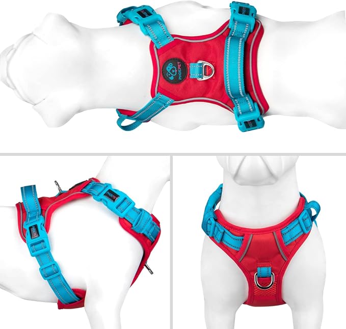 No Pull Dog Harness, Unique Colors Reflective Adjustable Dog Vest | with Soft Training Handle Metal Clips for Small Medium Large Dogs (Red Base & Teal Straps,XL)