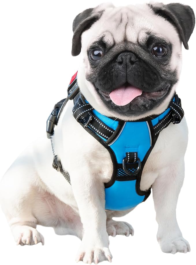 Reflective Dog Harness Large Breed Adjustable No Pull Vest | with Handle 2 Metal Rings 3 Buckles [Easy to Put on & Take off](L, Blue)