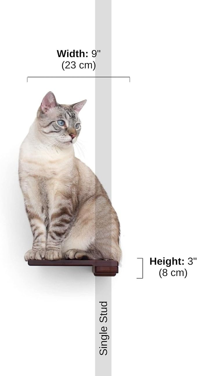 Catastrophic Creations Wooden Cat Step Floating Shelf (English Chestnut Bamboo)— Cat Wall Furniture for Indoor Cat — Platform Climber Wooden Cat Shelves —Playing & Jumping — Cat Wall Shelves