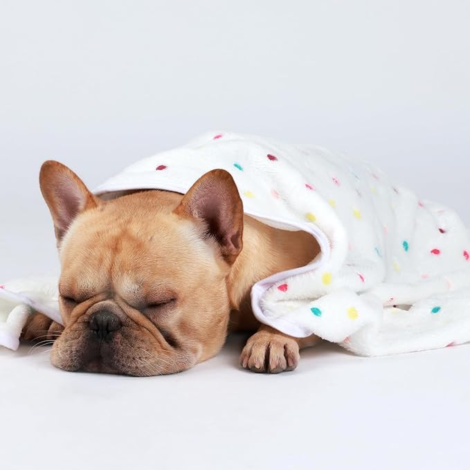 Luciphia 1 Pack 3 Blankets Super Soft Cute Dot Pattern Pet Blanket Flannel Throw for Dog Puppy Cat Large(41x31), Brown