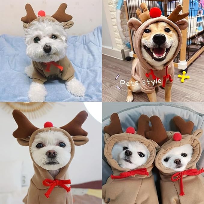 Warm Dog Winter Clothes Cute Fruit Dog Coat Hoodies Fleece Pet Dogs Costume Jacket for French Bulldog Chihuahua Ropa para Perro(Coffee,XS)
