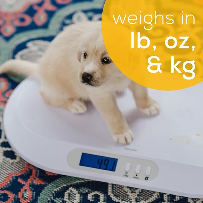 Beurer BY90 Digital Baby & Pet Scale with Bluetooth for Infants, Cats & Dogs, Weighing in Lbs/Oz/Kg up to 44 lbs, Hold & Tare Function for Accuracy & Curved Platform