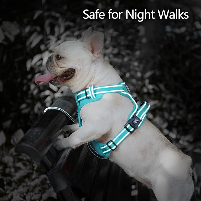 PoyPet No Pull Dog Harness, Reflective Vest with 2 Leash Clips & Handle | Lockable Neck Release Buckle, No Choke, Adjustable, Soft Padded, for Walking Training, Mint Blue Matching Trim, Medium