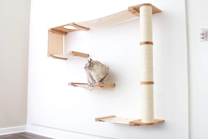 CatastrophiCreations Climb - Multiple-Level Cat Hammock & Climbing Activity Center - Wall-Mounted Cat Tree Shelves