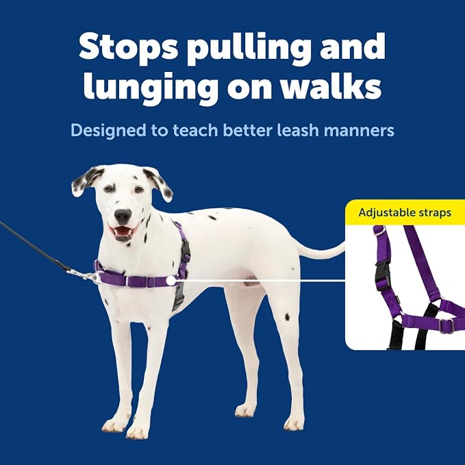 PetSafe Easy Walk Harness, No Pull Dog Harness, Black, Medium/Large | Patented Martingale Loop Gives Gradual Shoulder Pressure to Stop Pulling, Front-Chest Leash Clip Prevents Gagging