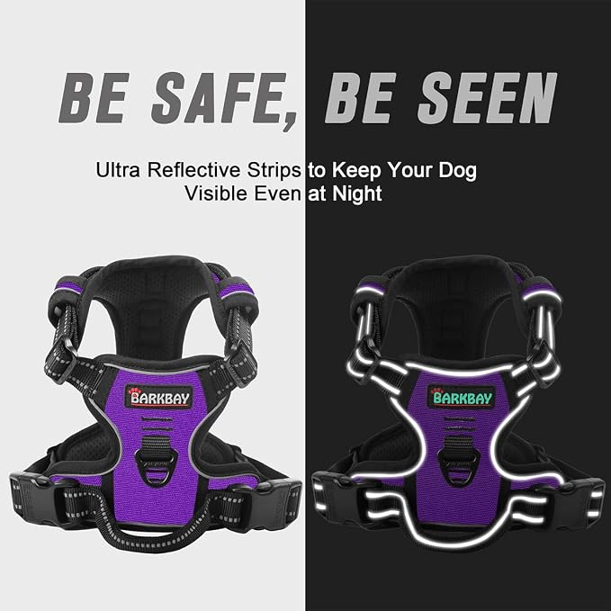 BARKBAY No Pull Dog Harness Front Clip Heavy Duty Reflective Easy Control Handle for Large Dog Walking(Purple,M) | Soft Padded No Choke With Handle,Easy On&Off,Adjustable Reflective For Walking Training Running(Purple,M)