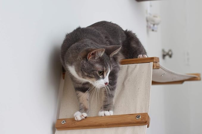 Catastrophic Creations Cat Tree with Hammock Perch – Mounting Wall Cat Shelves w/Canvas Fabric – Bamboo Wood Cat Tree Floating Steps – Lounger & Climber Cat Trees – Modern Cat Furniture