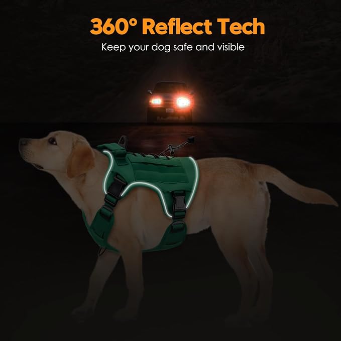 Heavy-Duty Tactical Dog Harness for Large Dogs, No Pull Adjustable Reflective Pet Vest with Molle System, K9 Military-Grade Control for Service Training, Outdoor & 10+ Breeds, Turquoise, X-Large