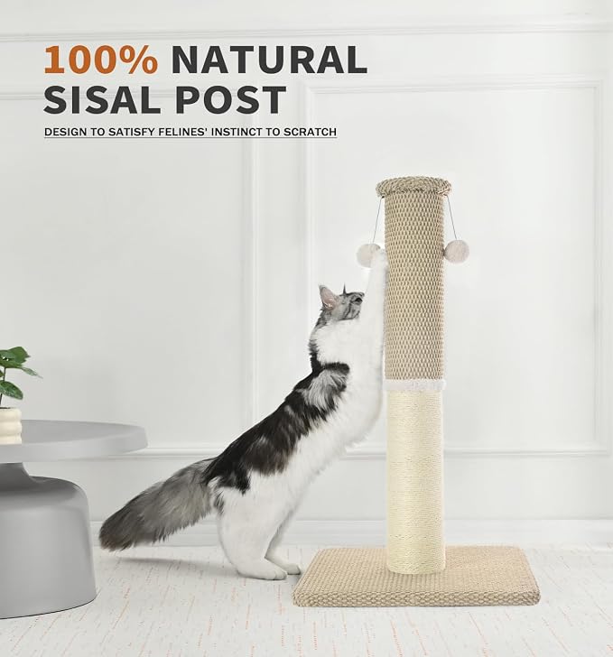 Made4Pets Cat Scratching Post with Sisal & Carpet for Indoor Cats, 23.6" | Cat Scratcher with Wide Stable Base, Interactive Hanging Toys, Ideal for Kittens, Small Cats and Everyday Indoor Play