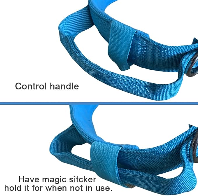 Tactical Dog Collar and Leash Set Adjustable Military Nylon Dog Collar with Control Handle and Heavy Duty Metal Buckle for Large Dogs（Blue L | 1000D Heavy-Duty Nylon Fabric,Quick-Release Metal Buckle,Adjustable Fit,Soft-Padded Webbing,D-Ring,for Traini...