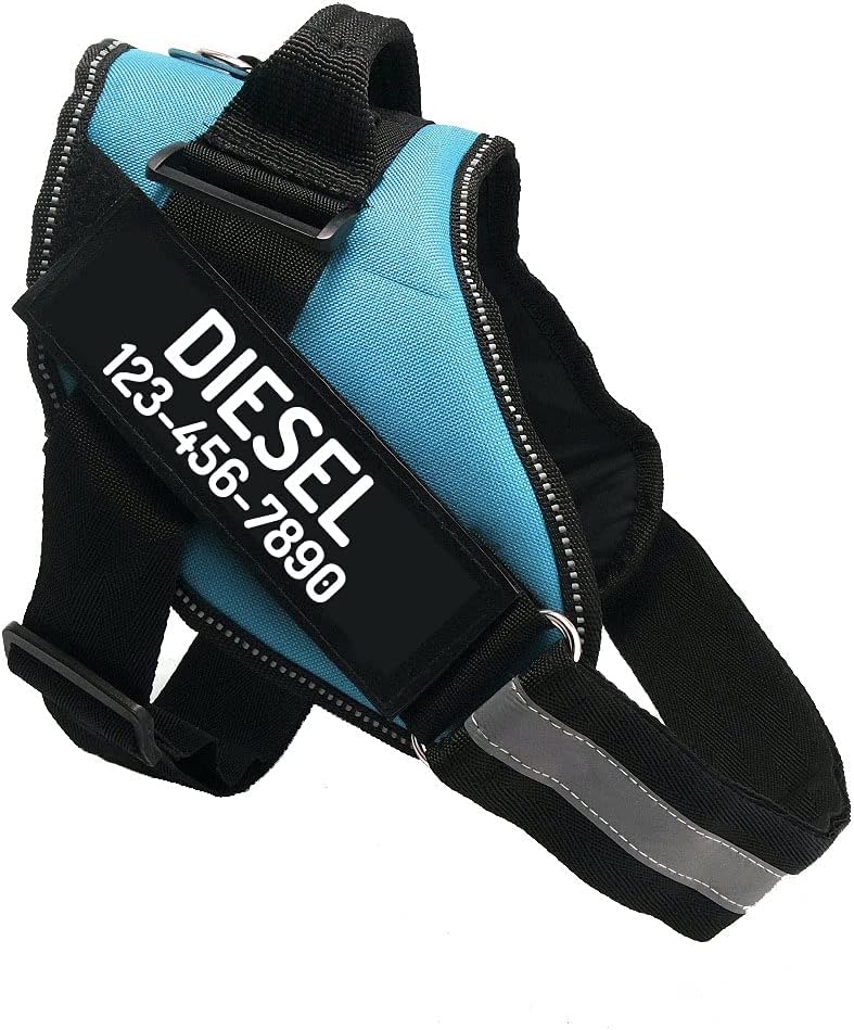 PawPawify Custom No Pull Dog Harness with Name and Phone Number, Heavy Duty Personalized Pet Vest to Prevent Tugging, Pulling, or Choking, Training and Walking (SkyBlue, S (10-19LBS))