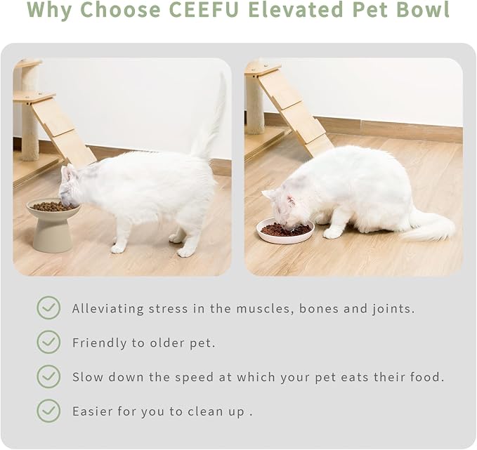 CEEFU Extra Wide Elevated Ceramic Cat Bowl - 6.2" Shallow Dish for Whisker Fatigue Relief, 5" Height for Easy Feeding, Lead & Cadmium Free, Durable Raised Cat Food Bowls, Pottery Clay (Not Glazed)