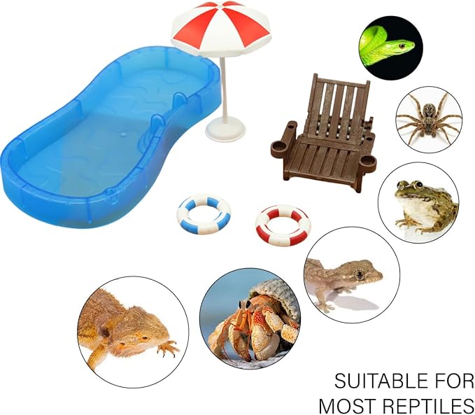 Tree Frog Tank Accessories - Novelty Pool Theme Set Turtle Habitat Decoration Reptile Water Food Bowl for Amphibian Aquatic Frog Toad Lizard Leopard Gecko Hermit Crabs Snake Spider Scorpion (Pool Set)