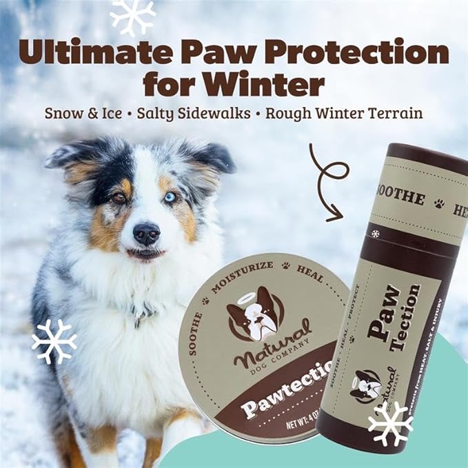 Natural Dog Company PawTection Dog Paw Balm, 4 Pack, Protects Paws from Hot Surfaces, Sand, Salt, & Snow, Organic, All Natural Ingredients (0.15 oz Travel Stick) X 4