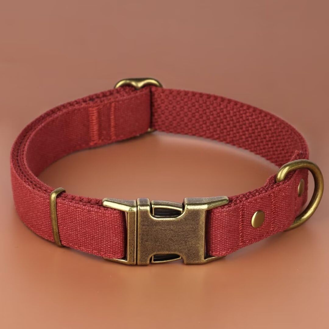 PET ARTIST Dog Collars for Small Dogs, Soft Padded Premium Nylon Dog Collar with Quick Release Metal Buckle, Durable & Adjustable Pet Collars for Boy Gifts, Red, S (Fit 10-16")