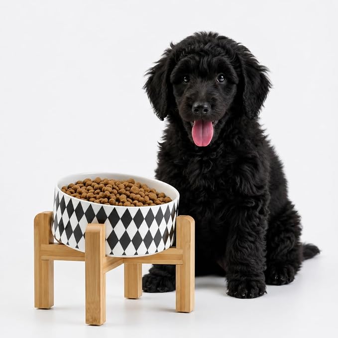 Petygooing Elevated/Raised 15°Slanted Ceramic Dog Bowl for Small and Medium Breeds, Tilted Anti Slip Pet Bowl,Food Water Dish with Stand for Cats and Dogs (28 OZ/3.6 Cups) Black Rhombus