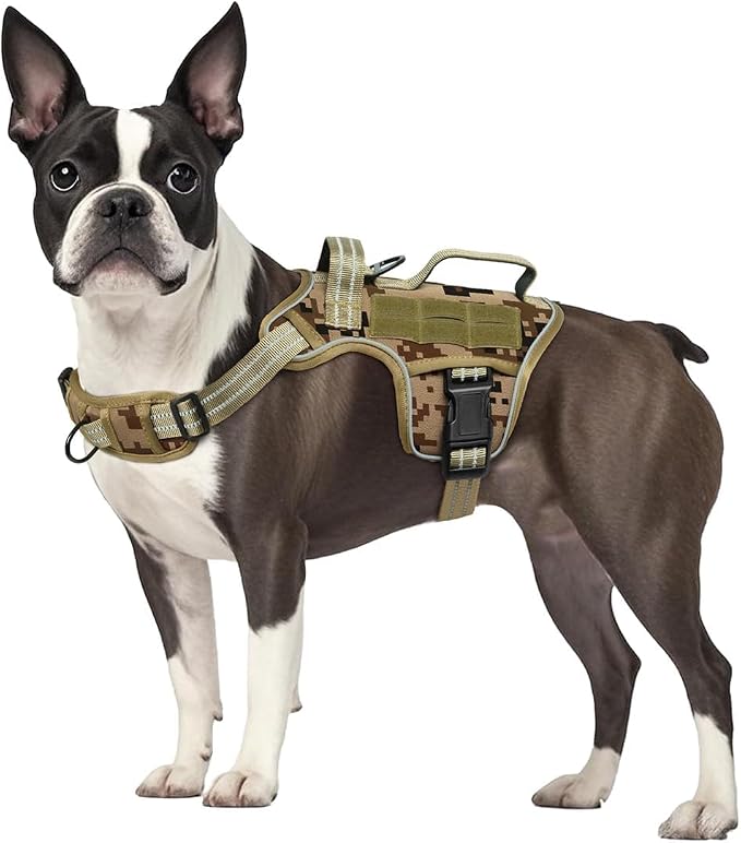 Dog Harness, Tactical No Pull for Small Sized Dog with Handle | Breathable Soft Padded, Adjustable, Reflective, Molle System, Heavy Duty, No Choke for Walking Training, Desert Camo Small