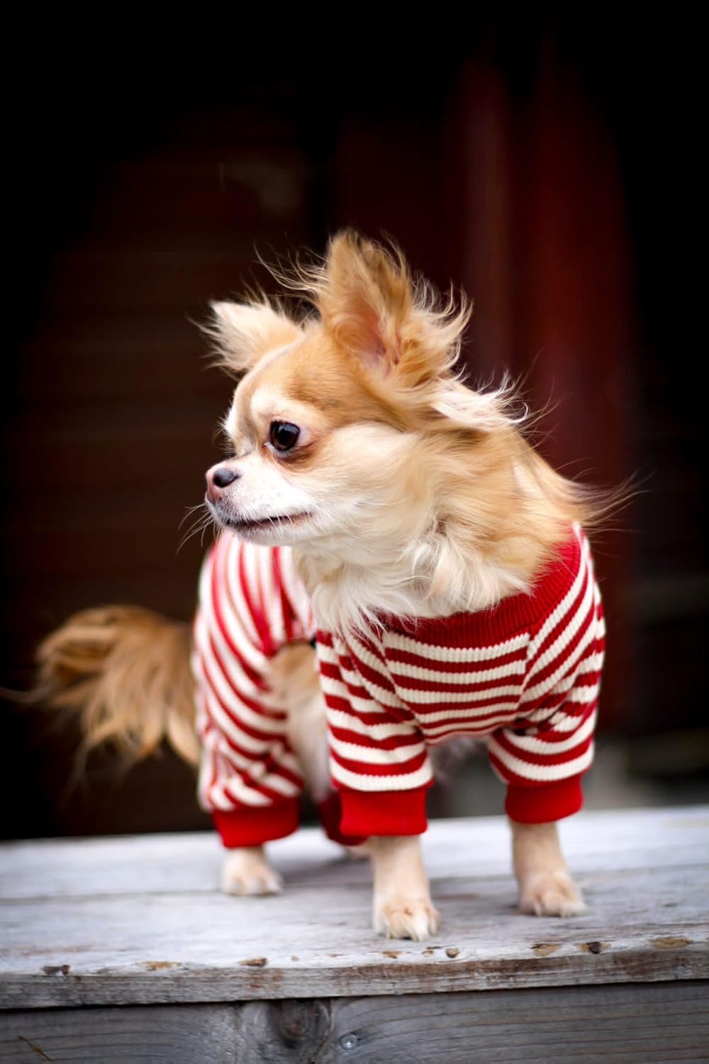 Fitwarm Red and White Striped Dog Pajamas, Waffle Dog Clothes for Small Dogs Girl Boy, Puppy Onesie with Feet, Pet Christmas Outfit, XXL