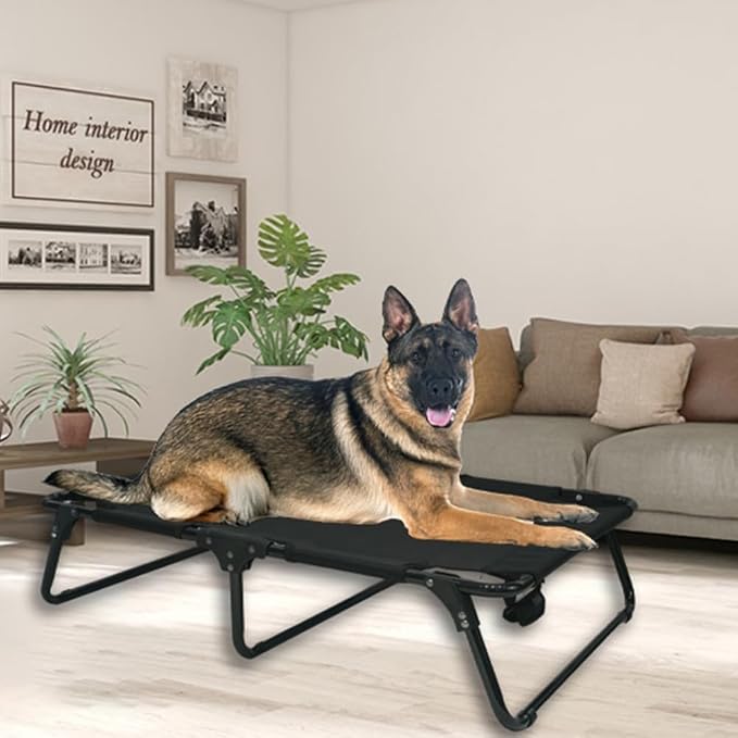 Outdoor Elevated Dog Bed Cooling Raised Dog Cots | Black Pet Beds With Breathable Mesh Folding Large Pet Hammock Bed Multiple Sizes for Small Meduim Large Dogs