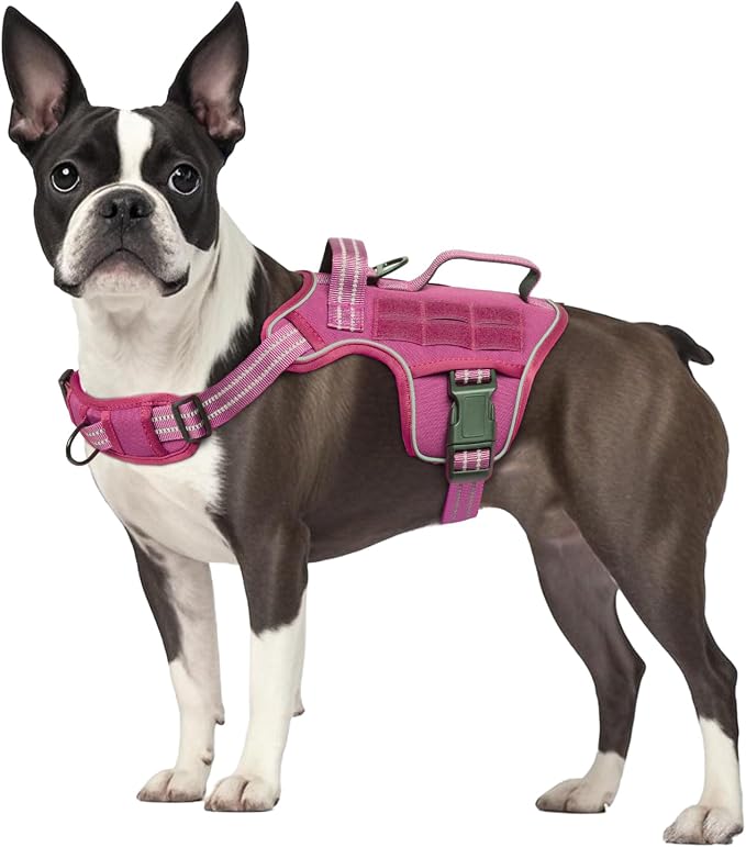 Dog Harness, Tactical No Pull for Small Sized Dog with Handle | Breathable Soft Padded, Adjustable, Reflective, Molle System, Heavy Duty, No Choke for Walking Training, Pink Small