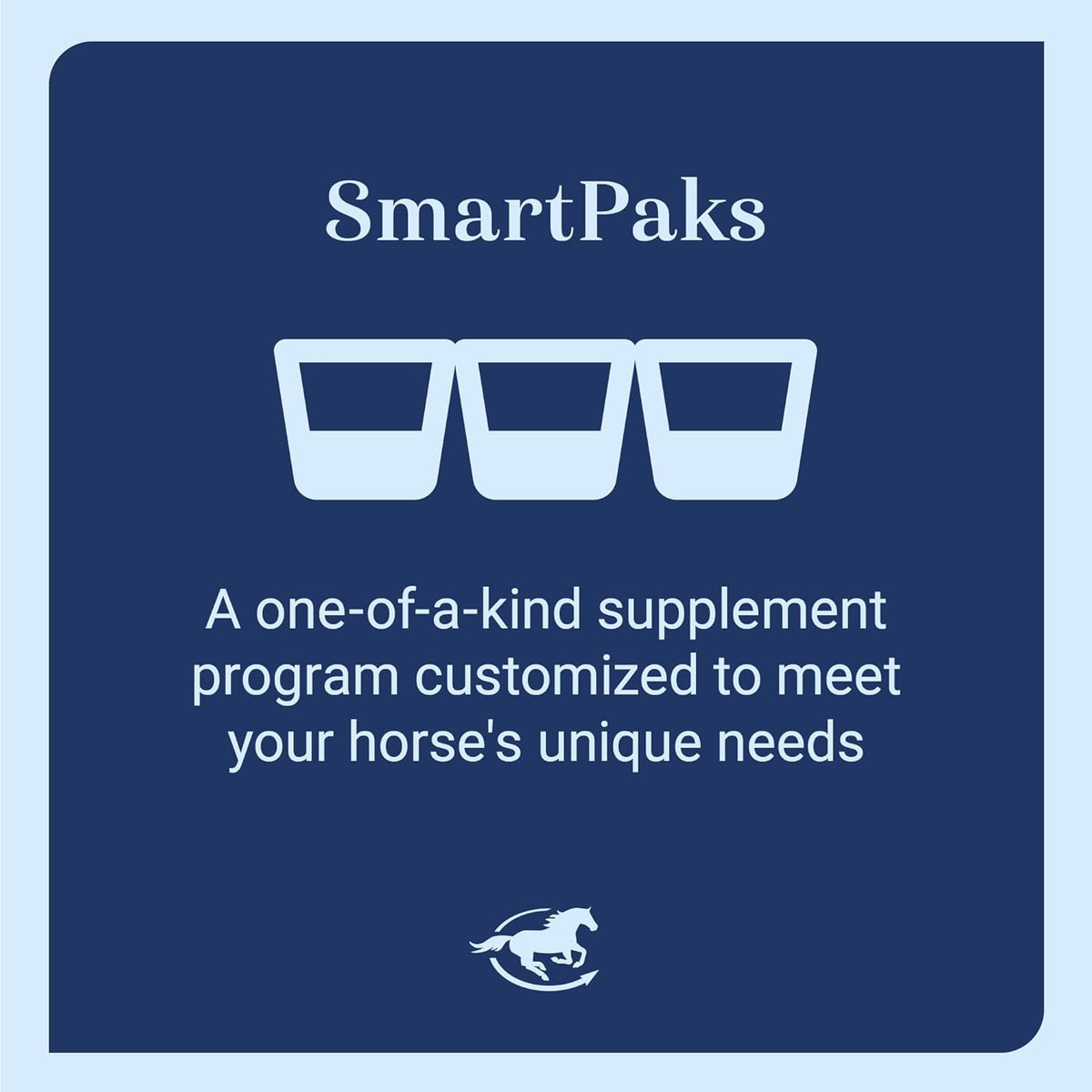 Senior Support SmartPak | Prebiotics and Probiotics | Turmeric Supplement | Flax Seed for Skin & Coat Health | Antioxidant Support for Senior Horses | 28 Days Supply