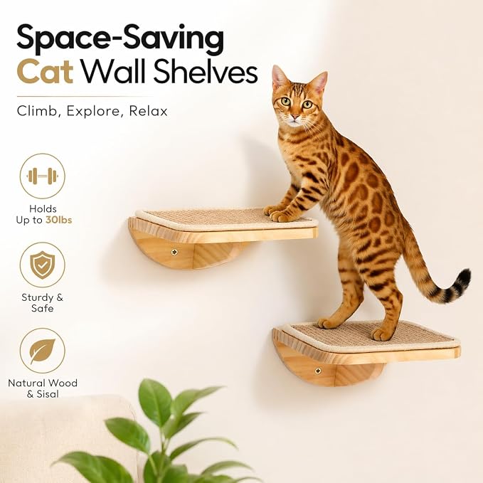 Cat Window Perches, Curved Cat Wall Beige Bed and 2 Floating Wall Steps, Wall Mounted Climbing Shelves for Sleeping, Playing, and Lounging