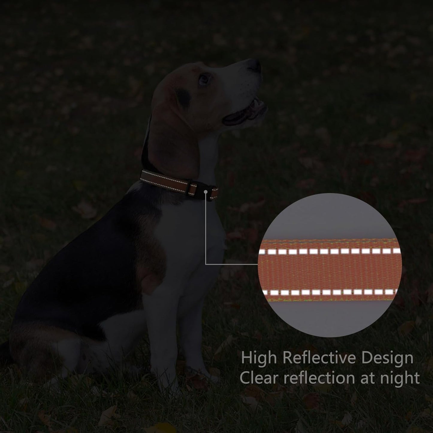 Reflective Dog Collar Padded with Soft Neoprene Breathable Quick Release Basic Dog Collars for Medium Large Dogs Orange